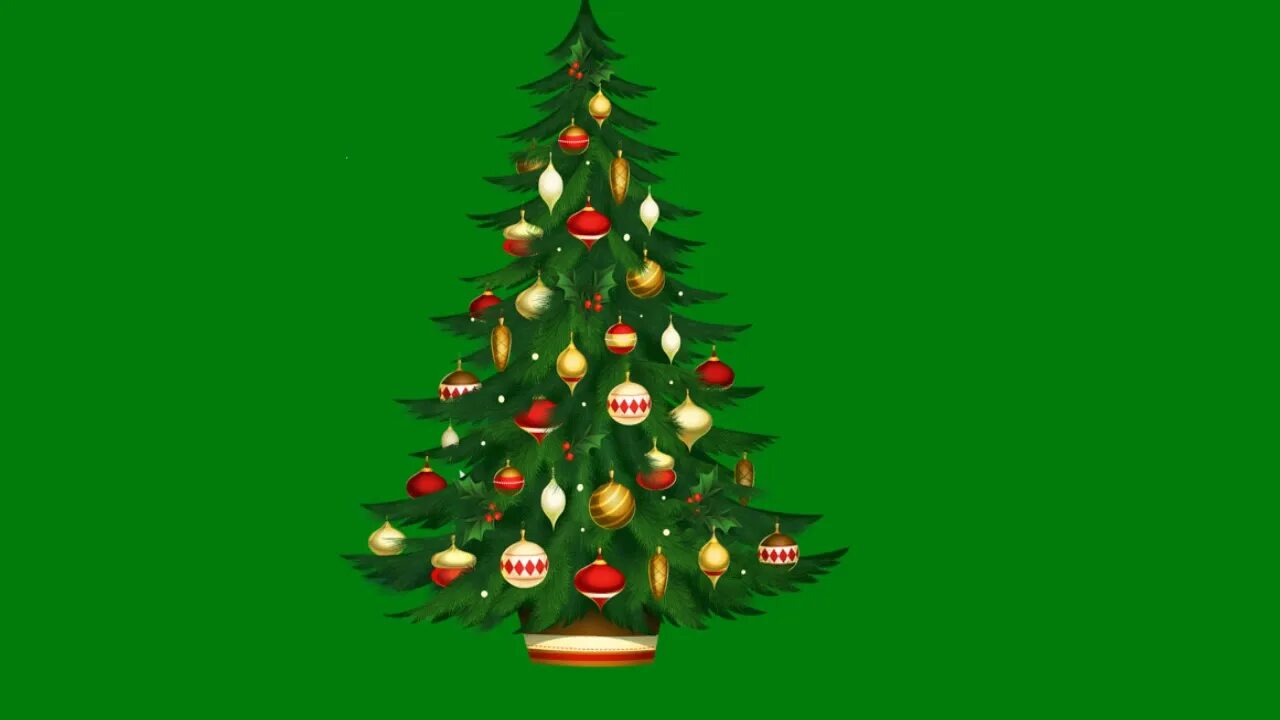 Елка хромакей. Елка хромакей. Елочка хромакей. Елка грин скрин. Новогодний хромакей.