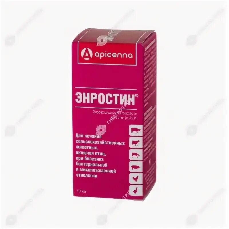 Энростин 100мл. Энростин 10 мл. Энростин оральный, 10мл. Энростин, оральный 10 мл (100 шт/упак).