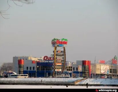 Оазис строитель