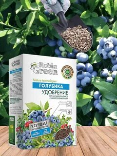 Чем подкормить голубику летом