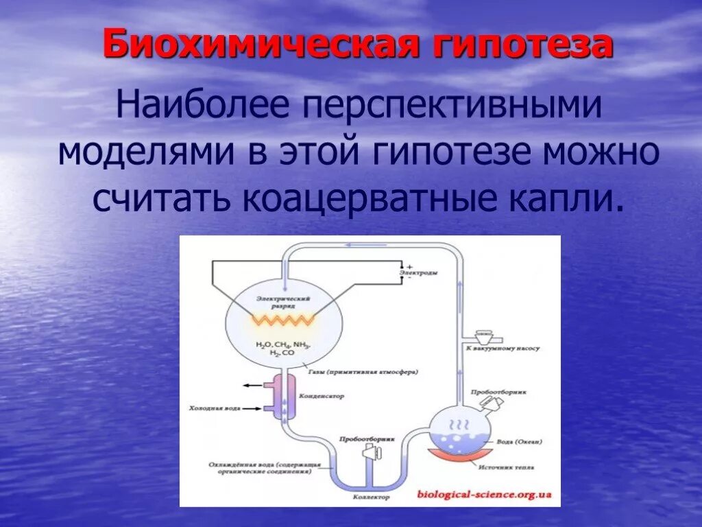 Коацерватная гипотеза. Коацерватная гипотеза происхождения жизни. Гипотеза биохимической эволюции. Биохимическая гипотеза зарождения жизни. Биохимическая гипотеза это гипотеза.