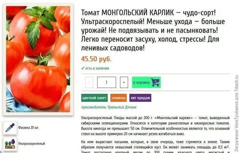 Томаты карлики описание сорта фото отзывы