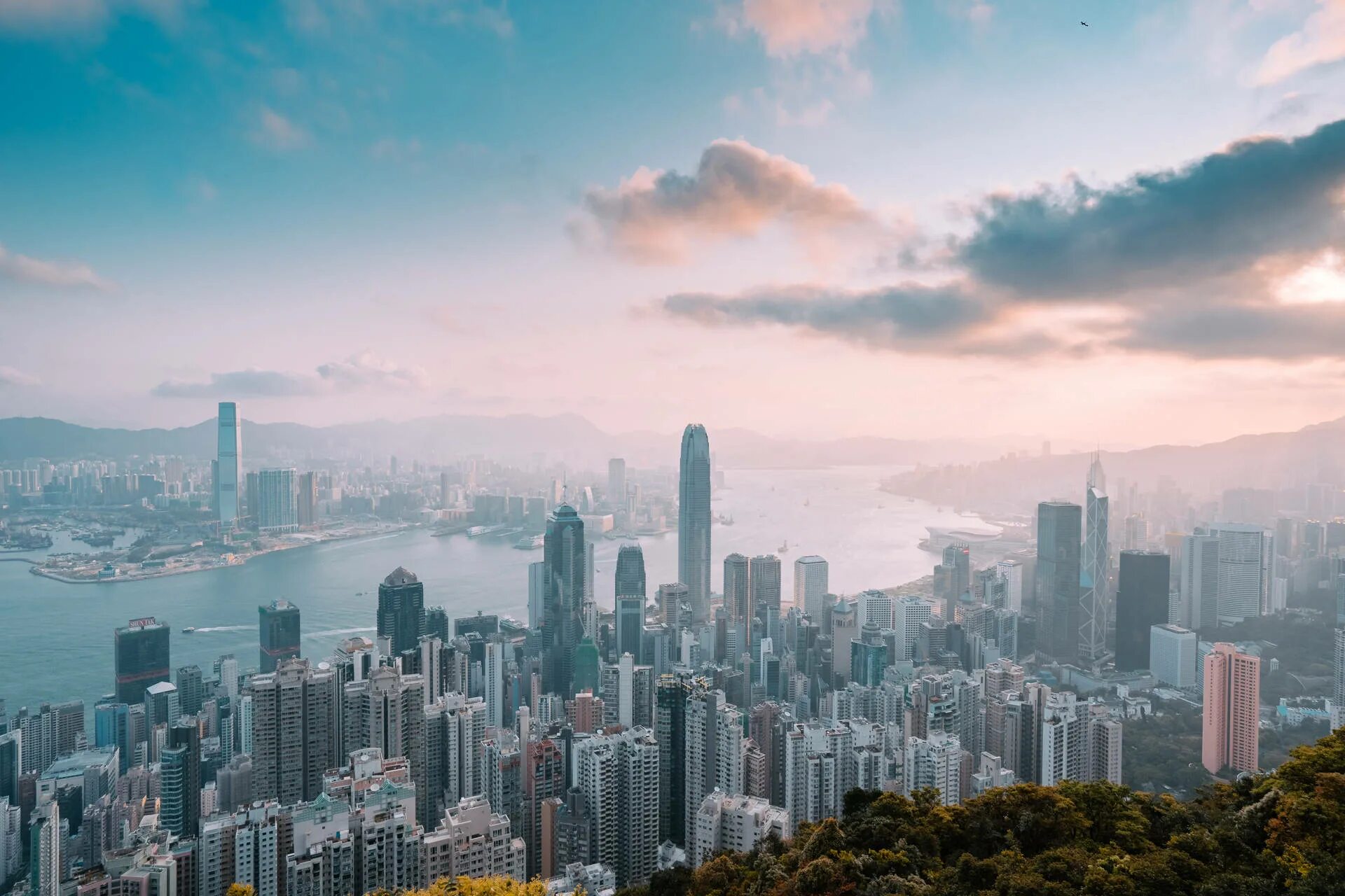 Cos hong kong