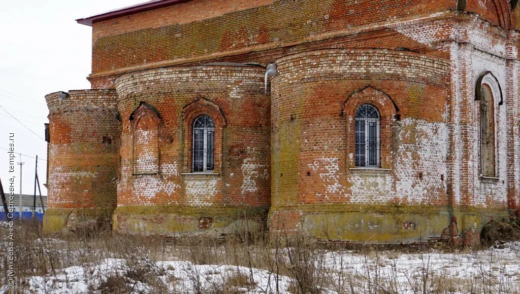 Репьевка курская область тимский. Курск курская область тимский. Деревня леженьки курская область. Репьевка курская область тимский. Репьевка курская область тимский.