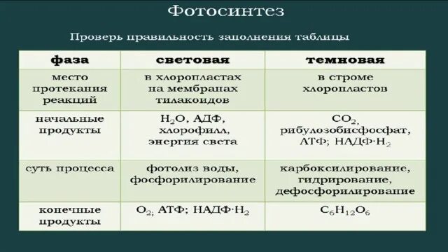 Место световой фазы. Фотосинтез таблица 10 класс биология. Фазы фотосинтеза таблица. Фазы фотосинтеза таблица 9 класс. Этапы фотосинтеза таблица.