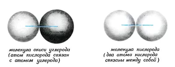 1 атом углерода 2 атома кислорода. 1 атом углерода 2 атома кислорода. Электронная плотность на атоме углерода. Щавелевая кислота гибридизация sp2. Молекула углекислого газа из атомов.