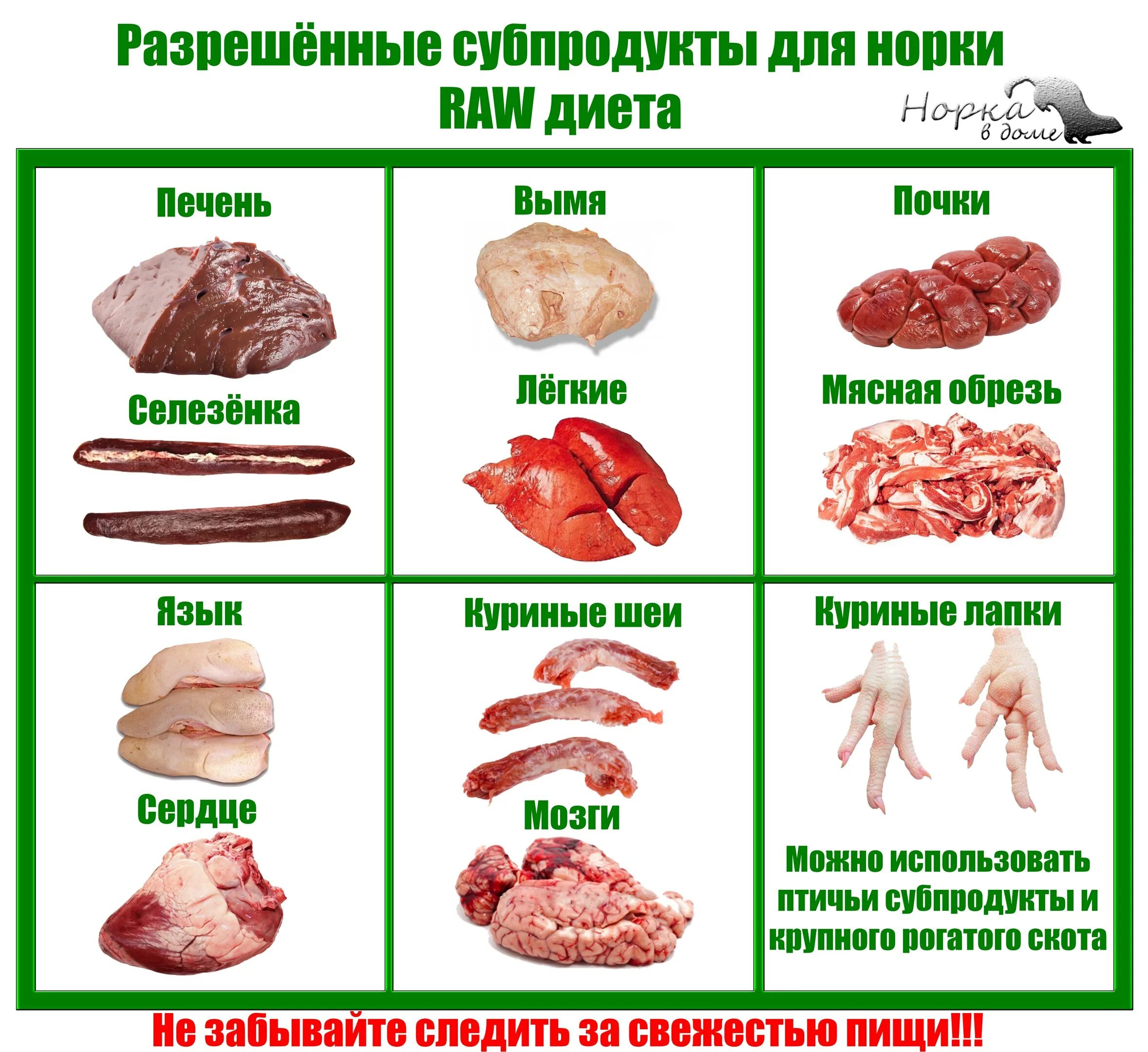 Мясо это простыми словами. Ассортимент субпродуктов.