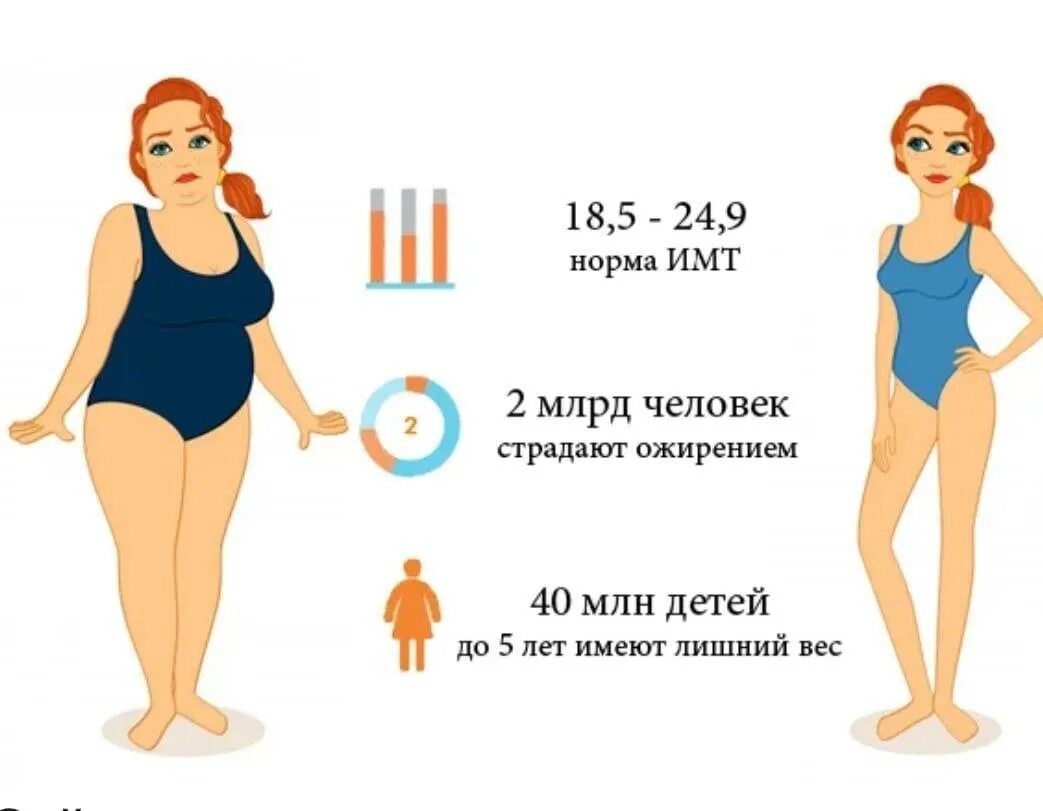 Почему после лета толстею