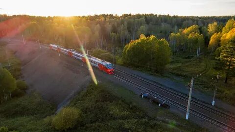 Селектор ржд