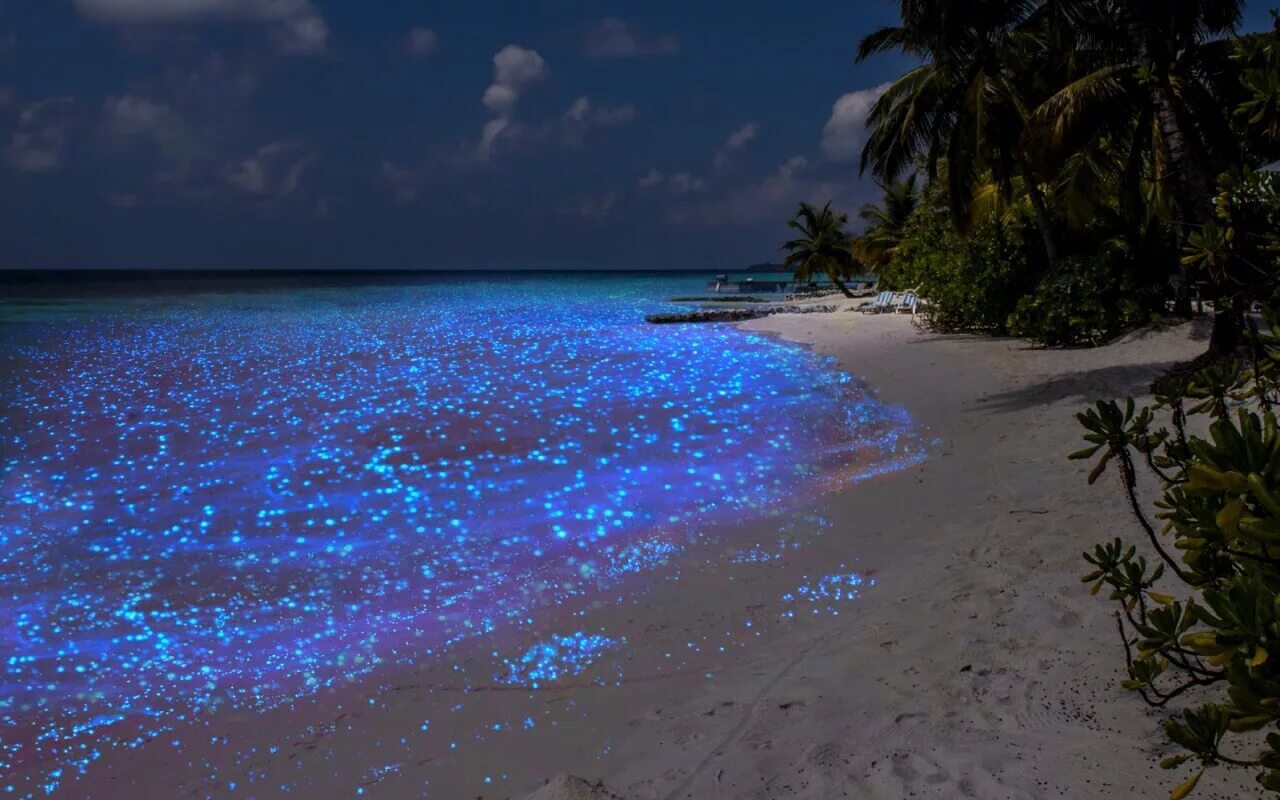 Сияющая вода
