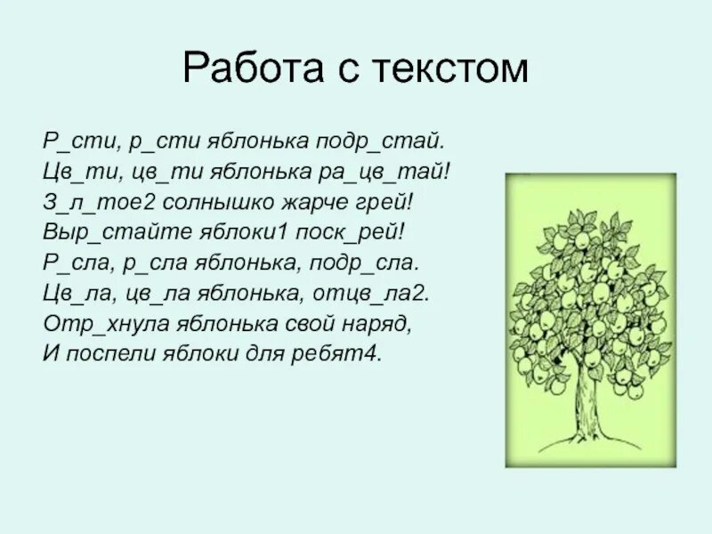 Расти расти яблонька. Расти расти Яблонька подрастай. Маленькая Яблонька подрастай. Расти расти Яблонька подрастай Цвети Цвети Яблонька Расцветай. Слово Яблонька.