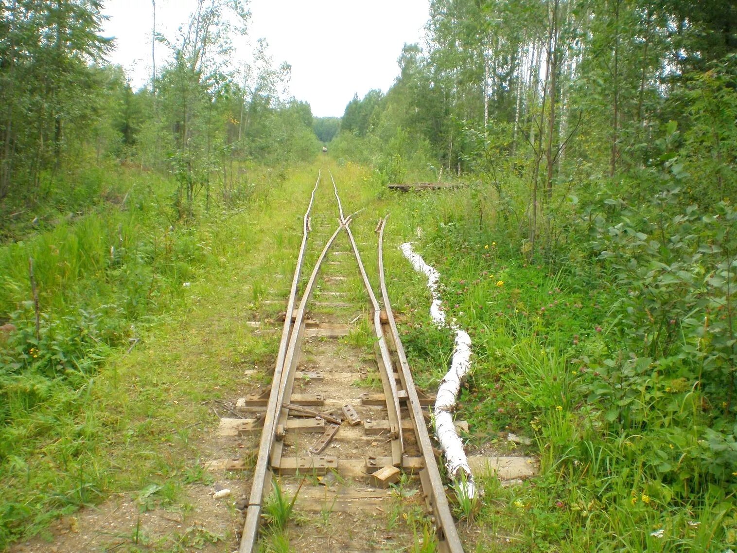 Аникинская ужд. Узкоколейная железная дорога северодвинск. Поселок поперечный узкоколейка. Узкоколейная железная дорога лойга. Узкоколейка ревда.