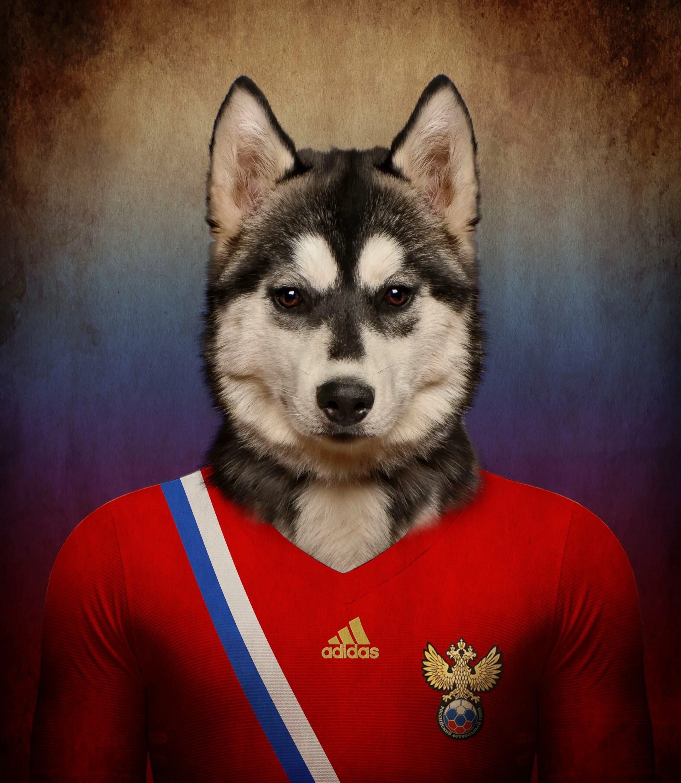 Авы 2014