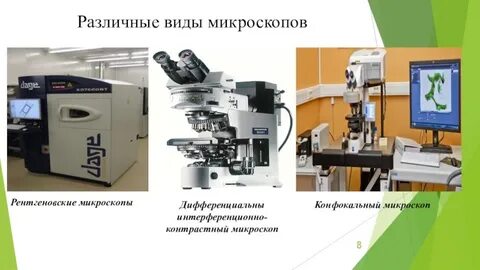 Виды микроскопов и их особенности