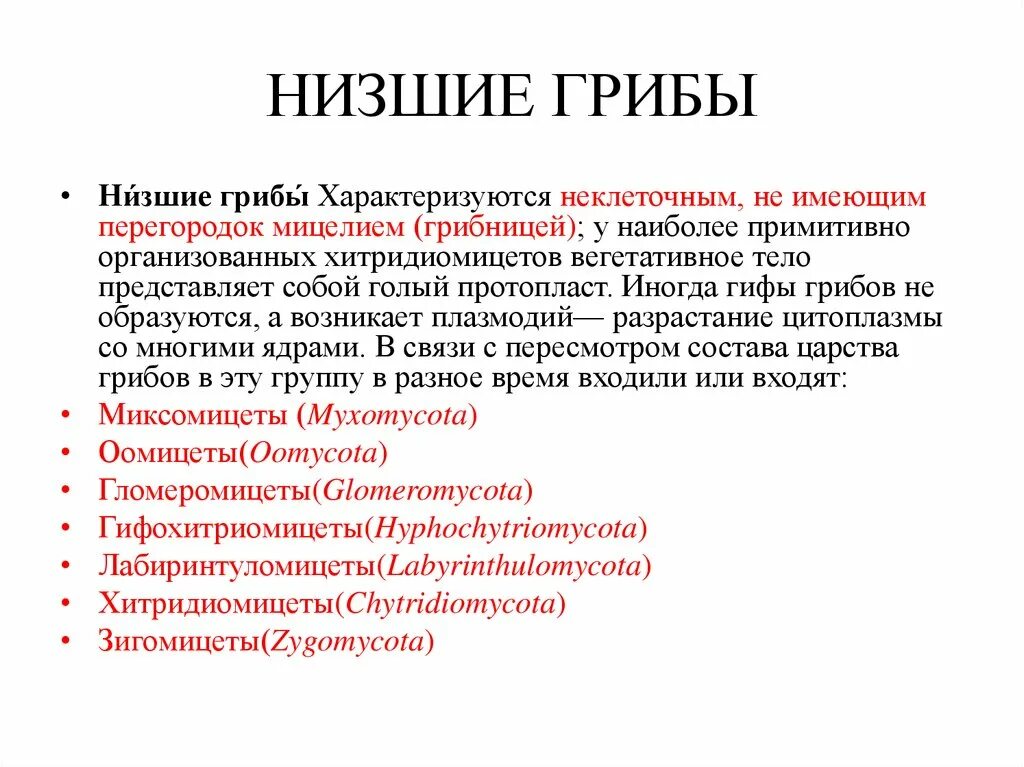 Название низших грибов. Назовите классы низших грибов:. Высшие и низшие грибы отличия. Общая характеристика низших грибов. Низшие грибы характеристика.