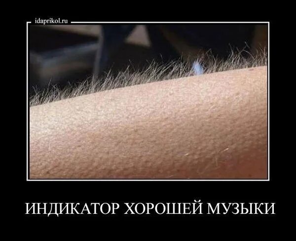 Раз 2 3 мурашки. Мурашки от. мурашки по коже от него. мурашки по коже прикол. мурашки по коже рисунок.