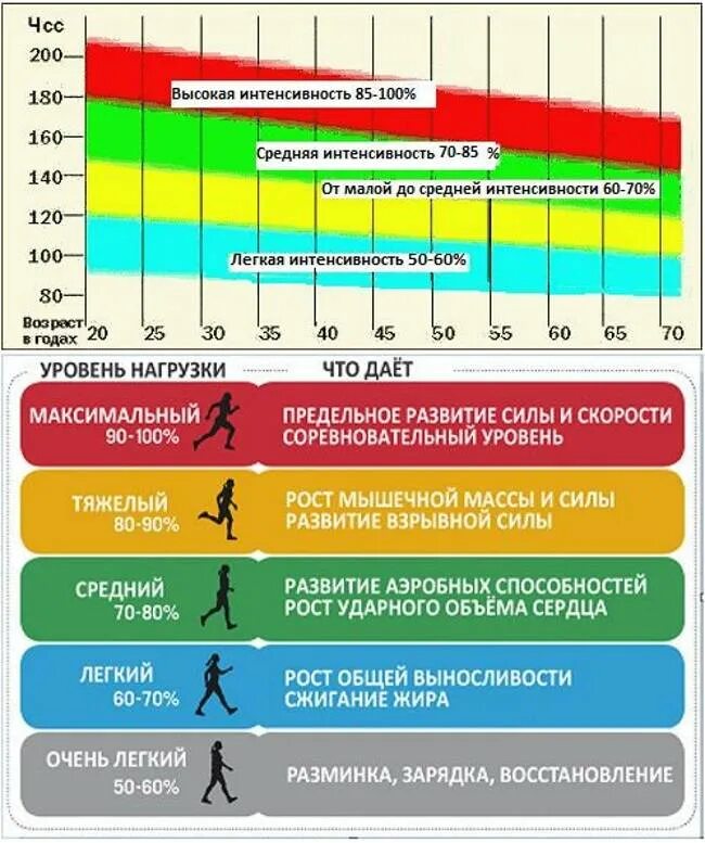 Сколько секунд на массу. Нормальная частота пульса при физических нагрузках. Нормальный пульс во время тренировки. Частота сердечных сокращений после нагрузки норма. Норма ударов сердца при физических нагрузках.