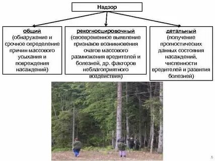 Общий надзор это