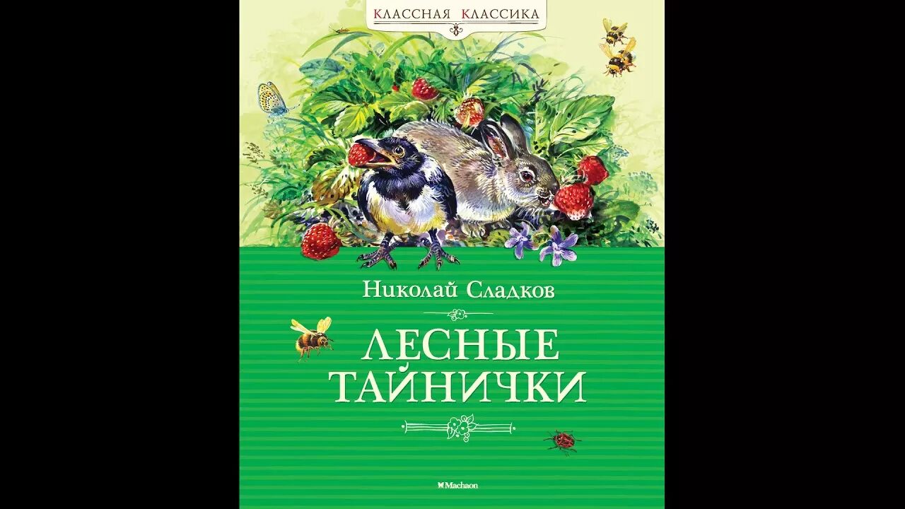 Лесные тайнички рисунок. Сладков лесные тайнички читательский дневник. Лесные тайнички картинки. Книга сладкова лесные тайнички. Лесные тайнички сладков содержание.