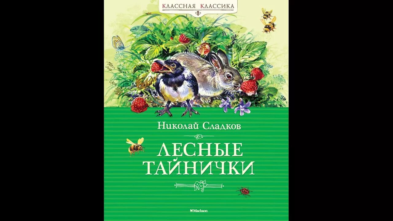 Н. Сладков "Лесные тайнички". Книга Сладков Лесные сказки.