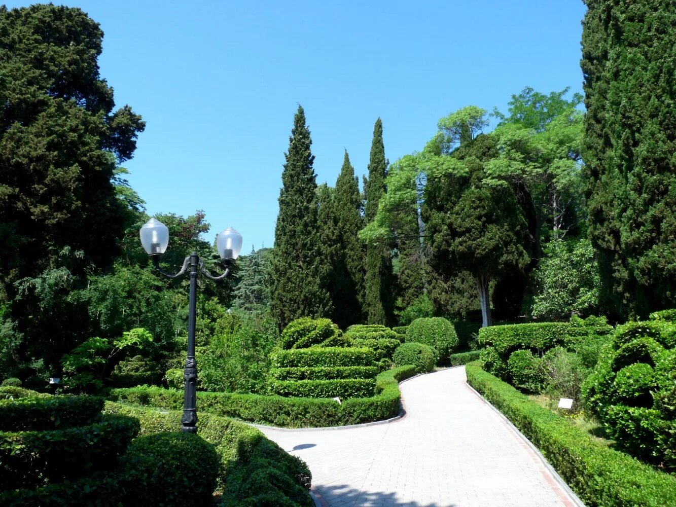 парк санатория гурзуфский в крыму. гурзуф санаторий гурзуфский. парк санаторий гурзуфа. гурзуфский парк 2022. гурзуфский.