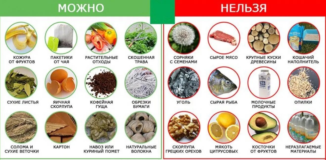 Чем можно дать 16 в. Запрещенные продукты для кошек. Какие фрукты и овощи можно котам. Что можно есть кошкам. ЧОО можно давать котята а что нельзя.