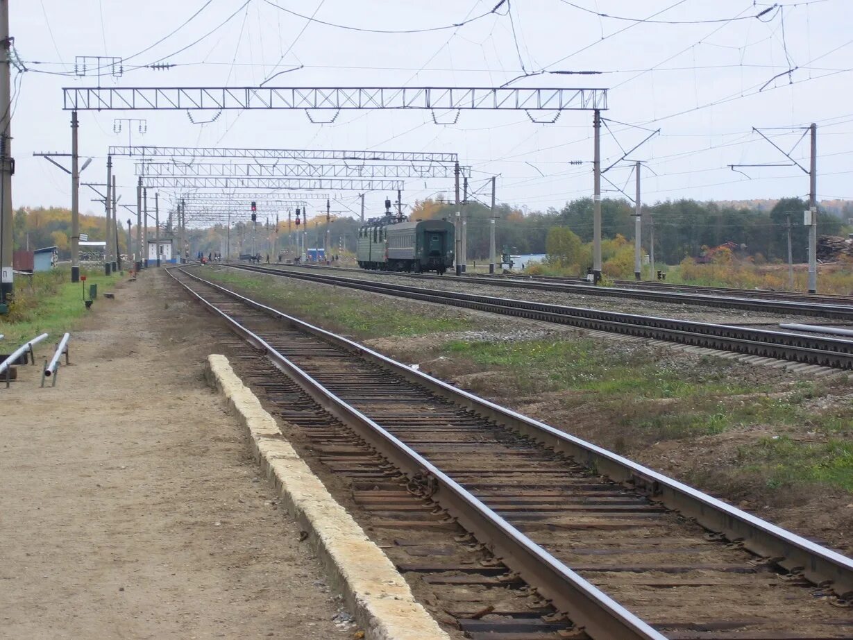 Красильниково костромская область. Погода россолово костромской галичского. Россолово костромская область. Россолово костромская область. Погода россолово костромской галичского.