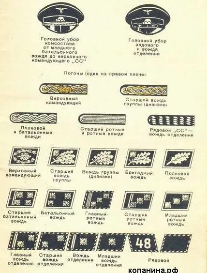 Ss ranks. Звания офицеров вермахта в 1941-1945. Звания и знаки различия в СС фашистской Германии. Звания в армии нацистской Германии. Звания в армии Германии 1941-1945 Вермахт.