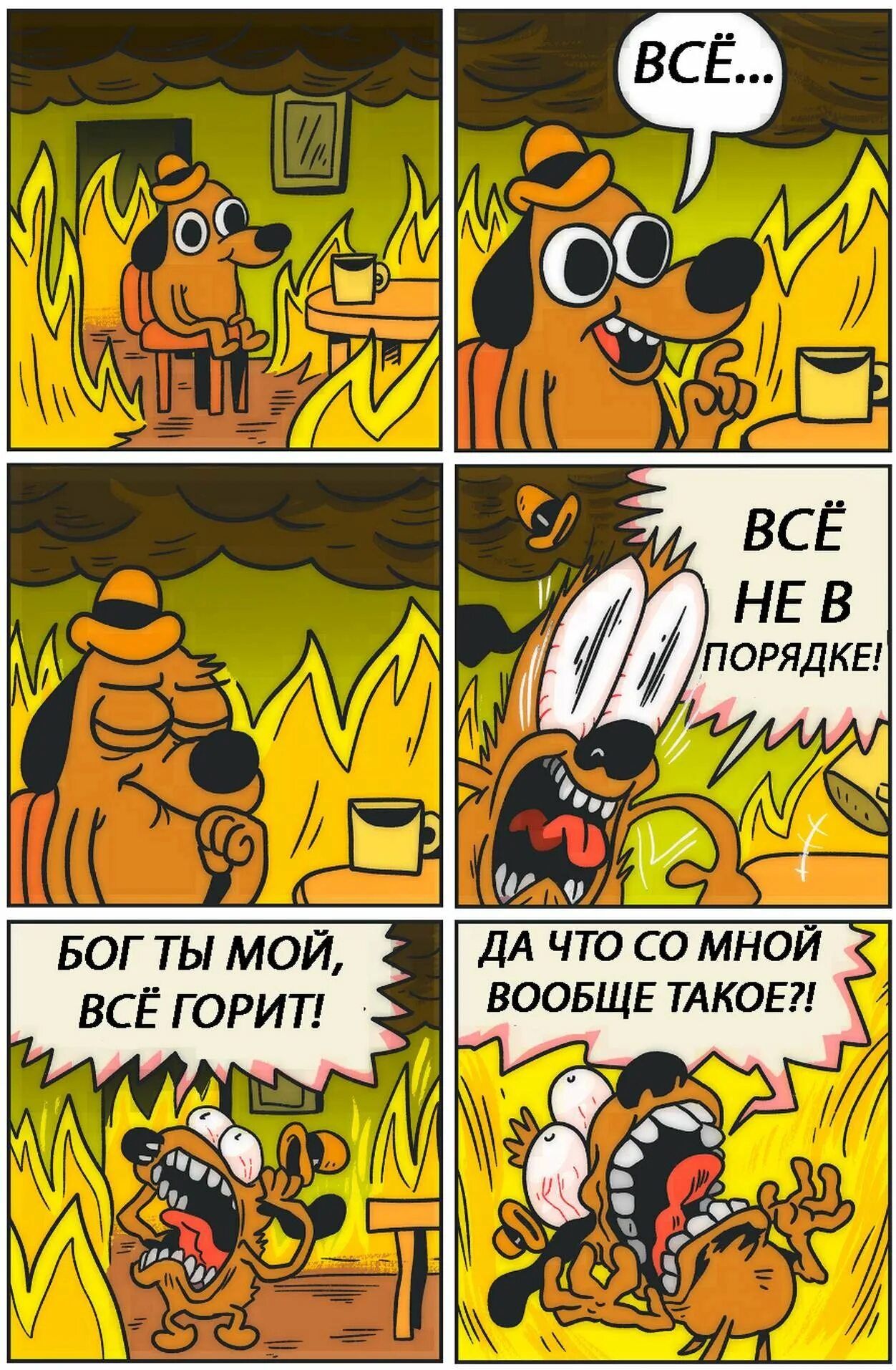 Life is fine. Собака в горящем доме. Пес в горящем доме. Собака в горящем доме комикс. Мем с горящим домом и собакой.