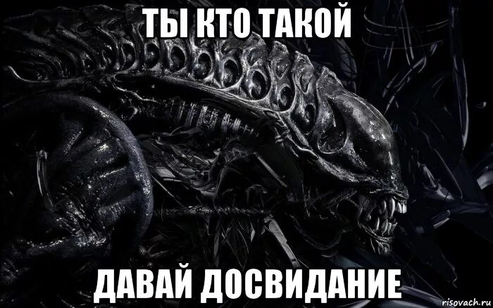 ментор наставник. человек. маркетолог профессия. кто такой человек. к о такой.