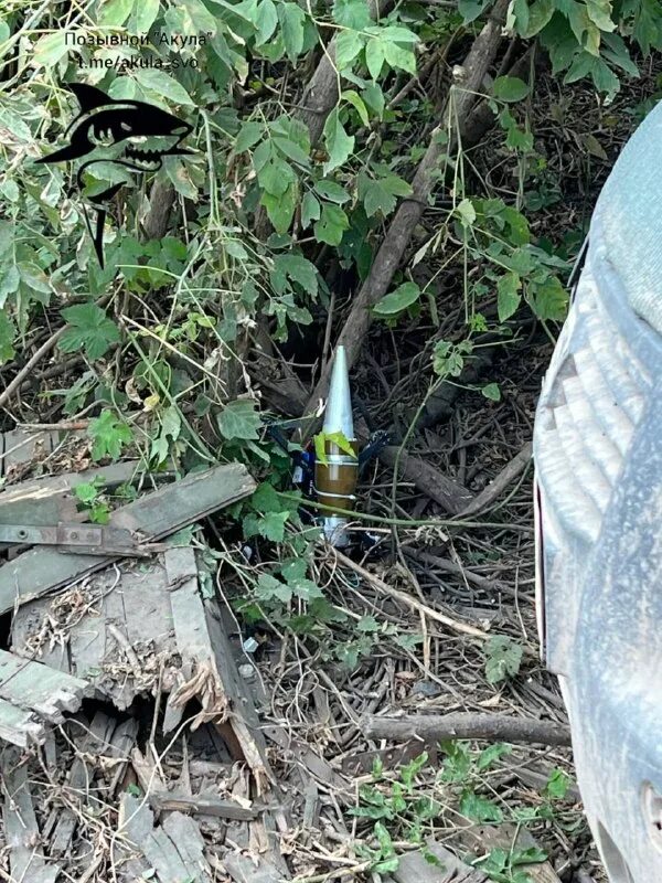 позывной акула телеграмм