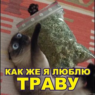 Люблю траву