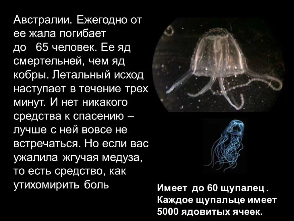 Медкза