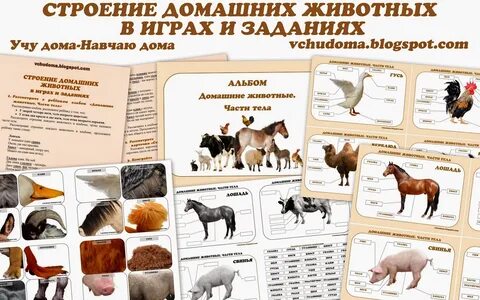 Домашний стр