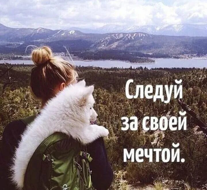 Следуй за своей мечтой. Следуй за своей мечтой