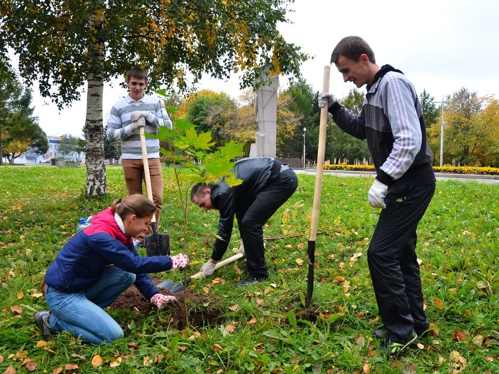 Посади дерево область