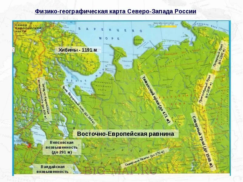 Заволжская низменность на карте россии. Возвышенность Тиманский Кряж на карте России. Тиманский Кряж возвышенность на карте. Тиманский Кряж на карте России физической. Европейский Северо-Запад России карта.