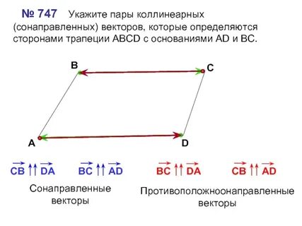 Укажите вектор