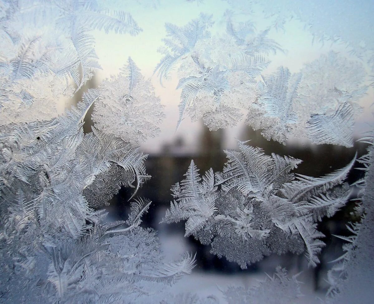 Узоры мороза. Морозные узоры. Зимние узоры. Морозные узоры на стекле. Морозные узоры на окне.
