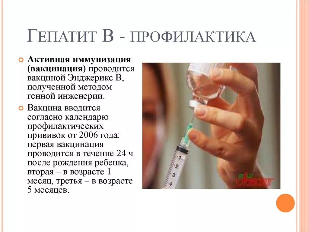 Профилактические мероприятия при вирусных гепатитах. Профилактика против гепатита. Профилактика при вирусных гепатитах. Профилактика вирусного гепатита в. Профилактика гепатита c.
