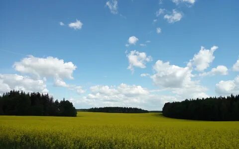 В дали видно поле