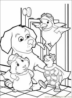 Color pets