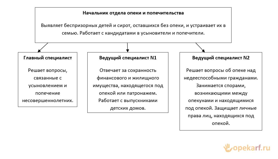 Министерство образования и попечительство. Задачи органов опеки и попечительства в России. Структура органов опеки и попечительства в РФ. Структура отдела органов опеки и попечительства. Схема работы органов опеки.