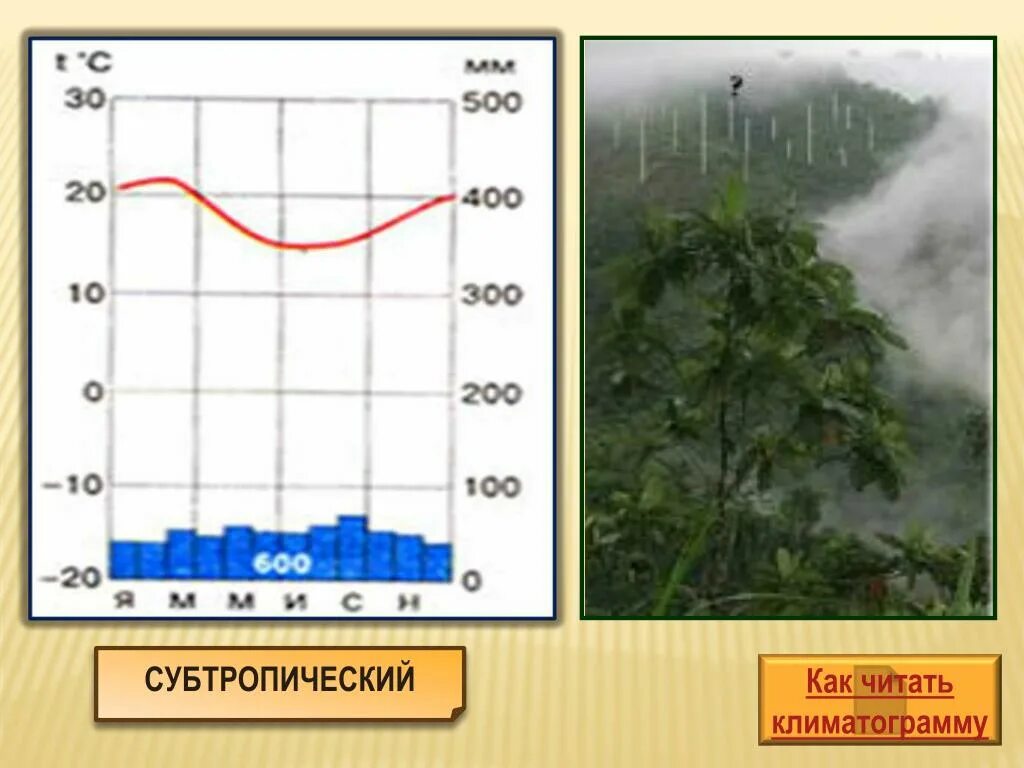 Равномерный климат. Климатограммы субтропического пояса Африки. Климатограмма субтроп климата. Климатограммы климатических поясов Африки. Климатограмма Южного субтропического пояса.
