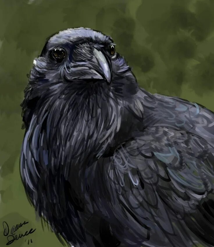 Crow get