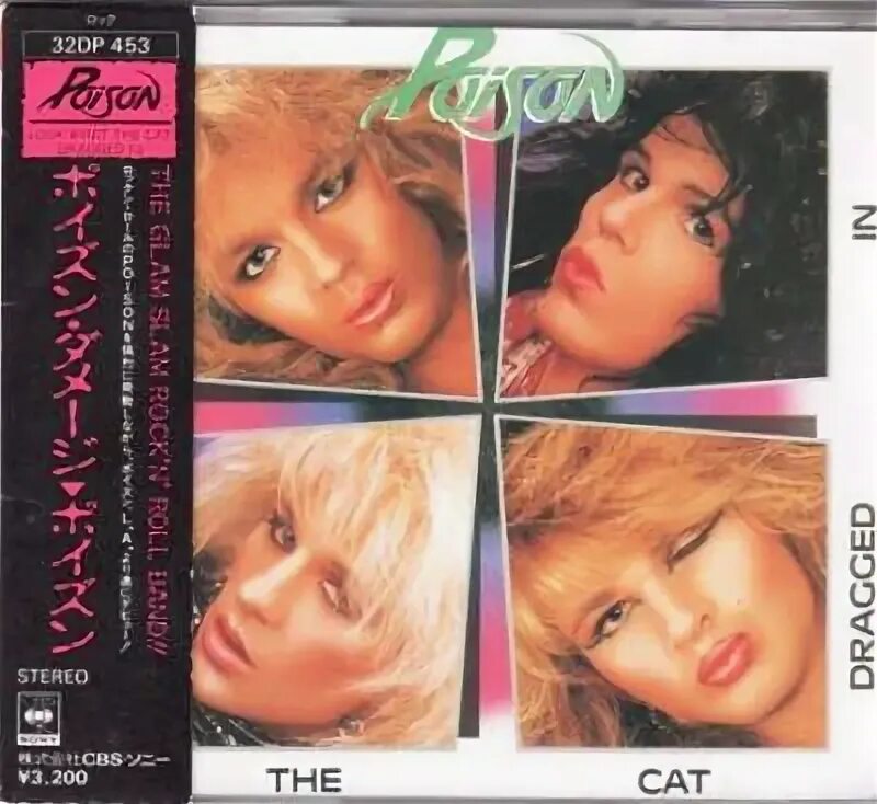 Poison cat. Poison яд. Noel_poison cat. Poison cat. Бутылка для яда.