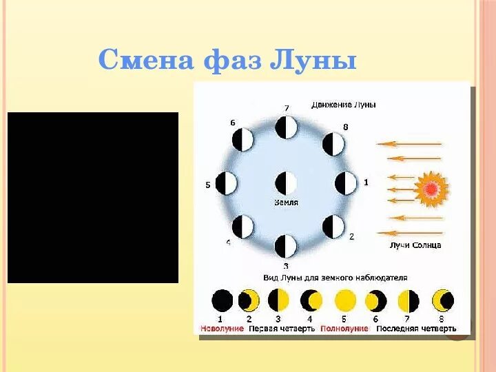 Смена лунных фаз. Изменение фаз Луны. Схема лунных фаз. Цикл смены лунных фаз.