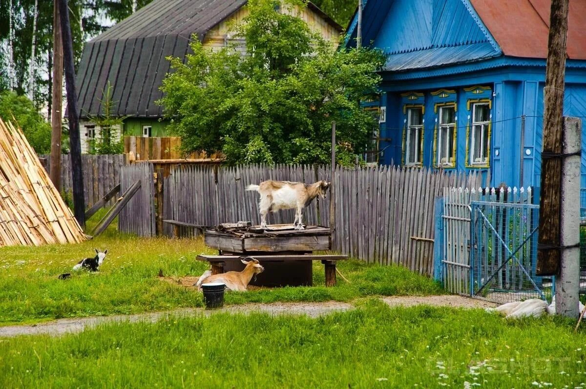 Лето в деревне. Домик в деревне. Двор в деревне. Русская деревня. Саша летом отдыхал в деревне масловка