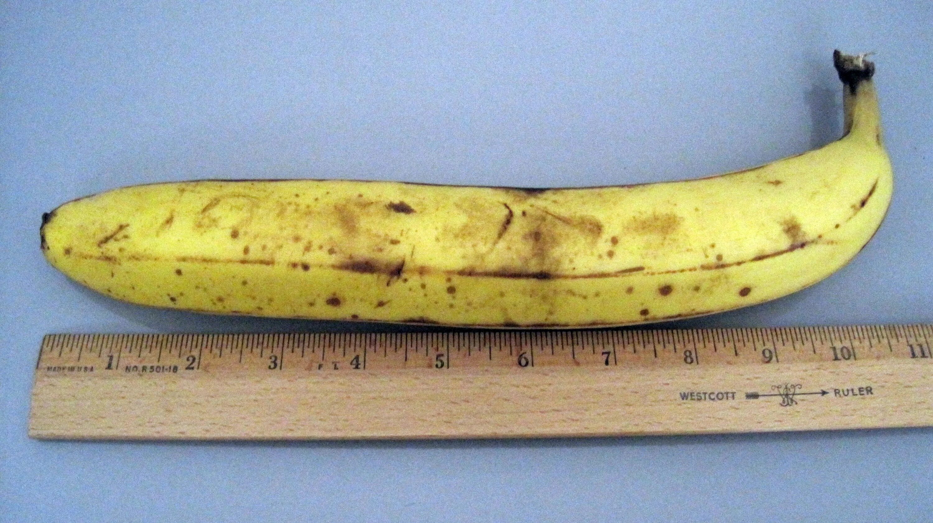 Cock 19. Банан 13 см. Банан с линейкой. Банан 19 см. Банан 10 см.