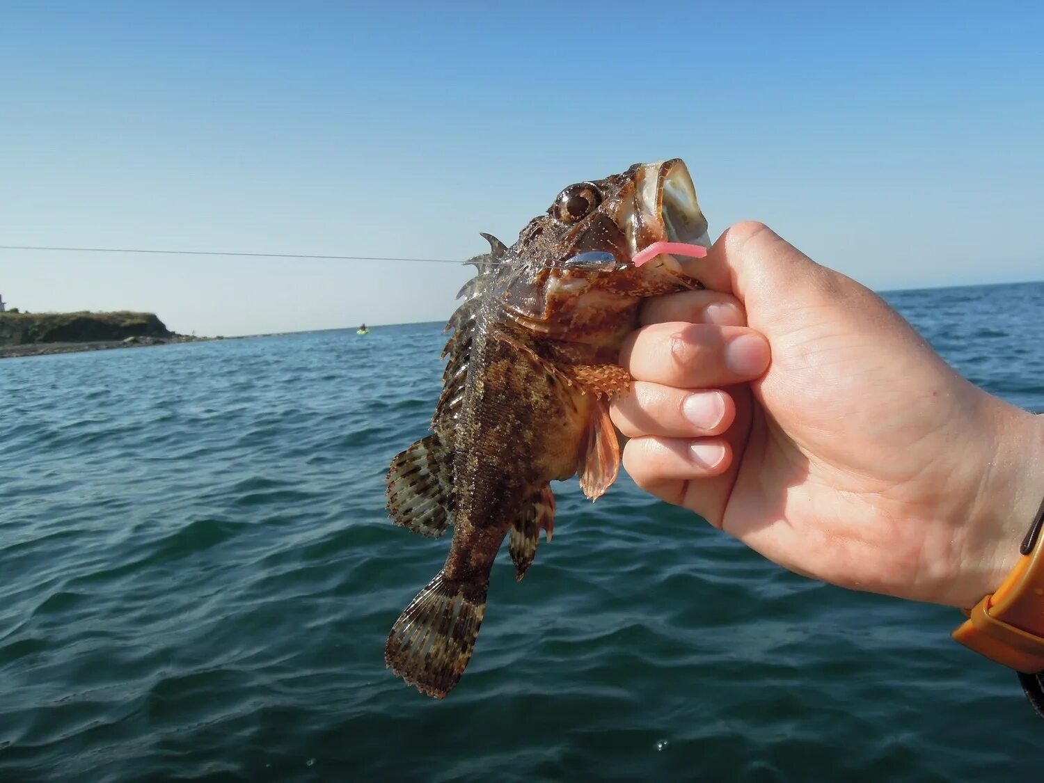 Рыбалка на черном море. Рыба рыбака в черном море. Рыбалка на чёрном море с берега. Рыбалка на спиннинг на черном море. Рыбалка на море на спиннинг